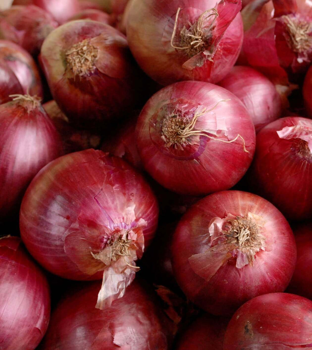 32 Lbs. Red Onion Bag