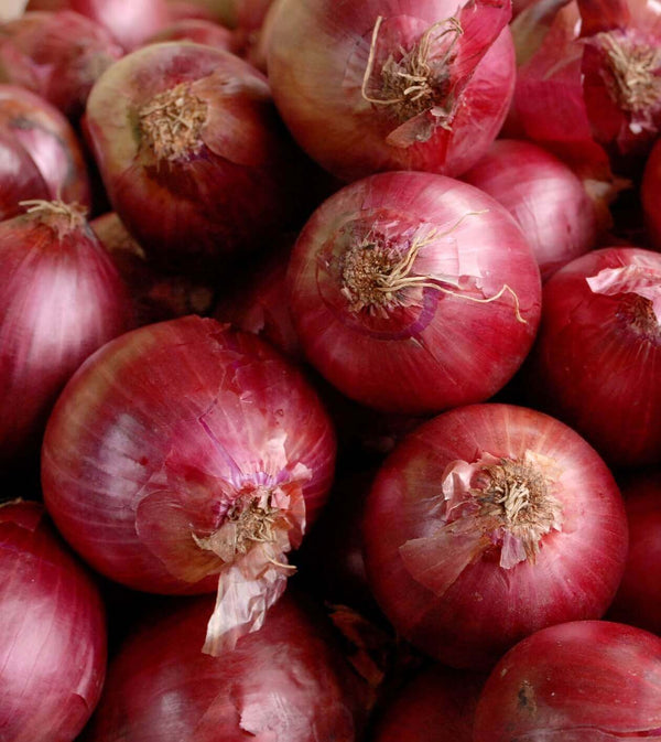 32 Lbs. Red Onion Bag