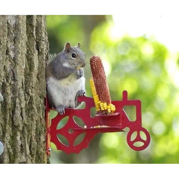 Buy Tractor Cob Squirrel Feeder Online in USA, $28.95 Buy Tractor Cob Squirrel Feeder Online in USA, $28.95
