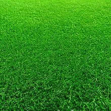 25.0 lbs Sports Turf Lawn Grass Seed Mix - Ideal 3-Way Kentucky Bluegrass for Lawns, Parks, Athletic Fields, and Recreation Areas - Full Sun Adaptation