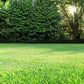 3.0 lbs Sun & Shade Lawn Grass Seed Mix - Ideal Blend for a Thriving and Versatile Lawn