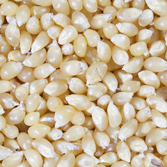 Snow Puff White Popcorn Garden Seeds