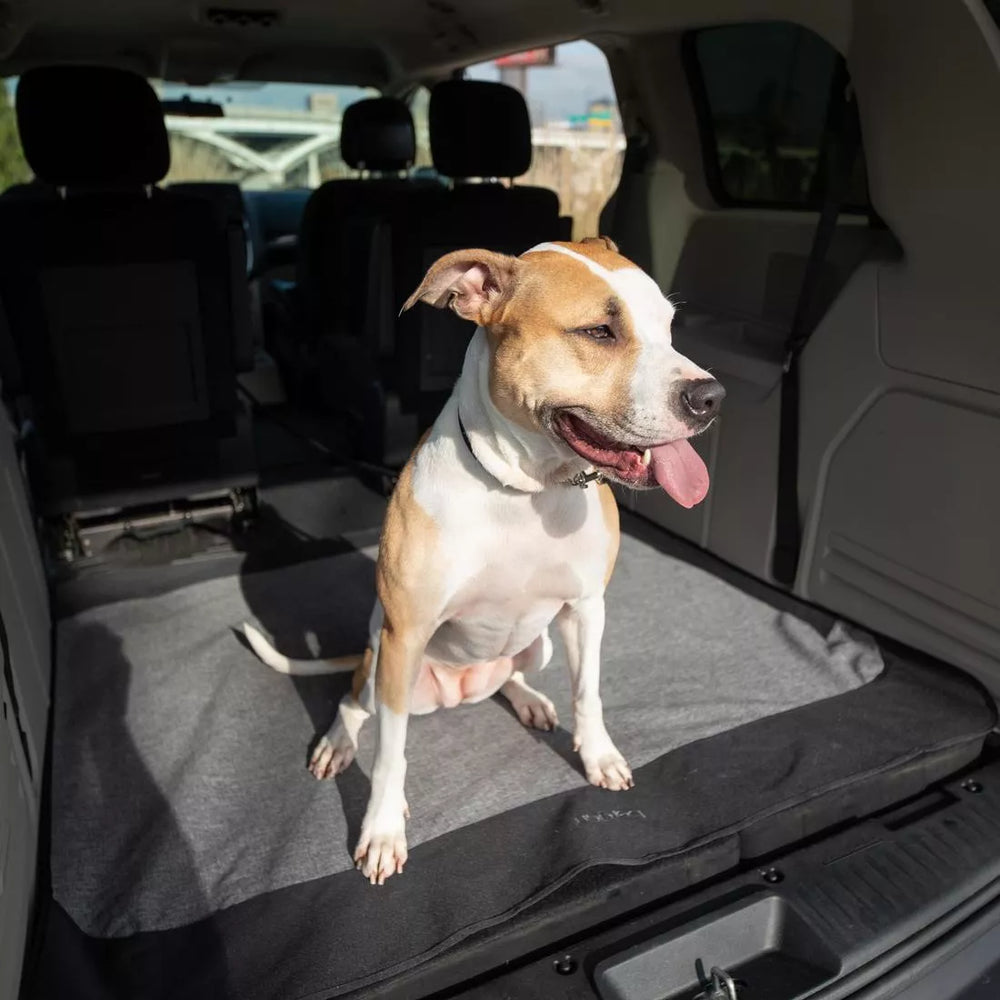 Coastal Pet Bergan Cargo Floor Protector 50" x 50"