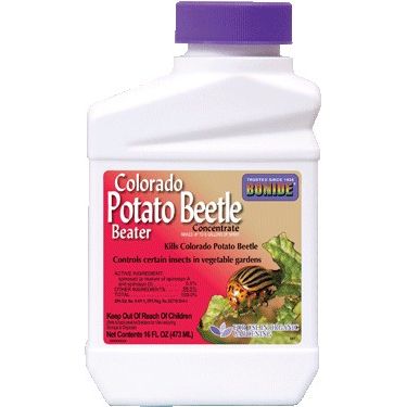 Quart Potato Beetle Concentrate - Highly Effective Pest Control Solution for Potato Plants and Vegetable Gardens