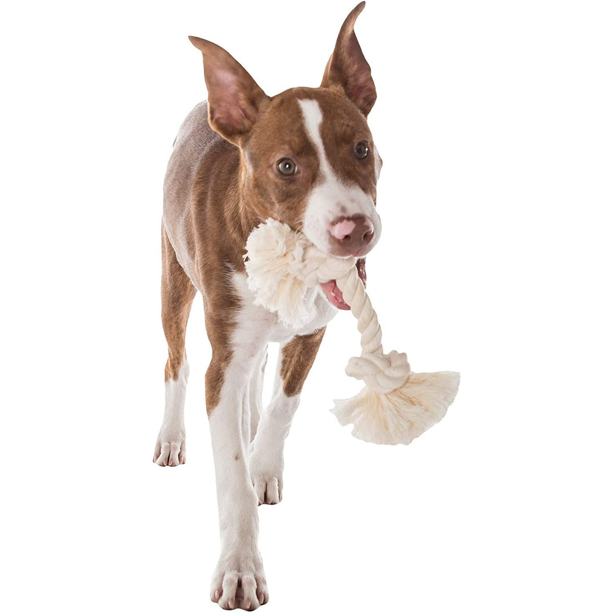 Mammoth Large 14in. White Rope Bone Dog Toy