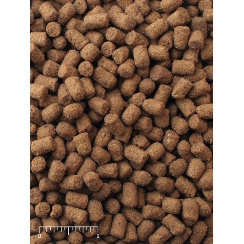 Mazuri Ferret Diet 25 lbs Nutritious Food for Healthy Ferrets