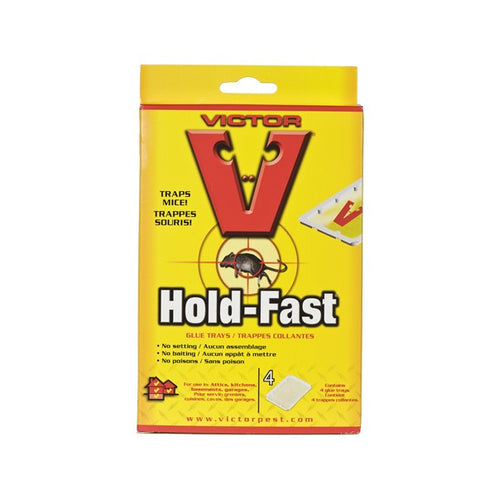2 Pack Mouse/Rat Glue Tray (Hold Fast) - Extra Strength Rodent Control Adhesive Traps for Home and Commercial Use