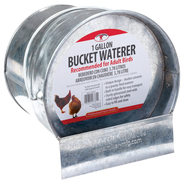 1 Gallon Galvanized Bucket Poultry Waterer