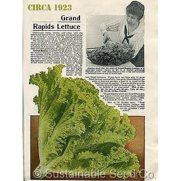 Grand Rapids Leaf Lettuce Garden Seeds