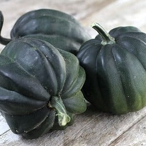 Table Queen Acorn Squash Garden Seeds