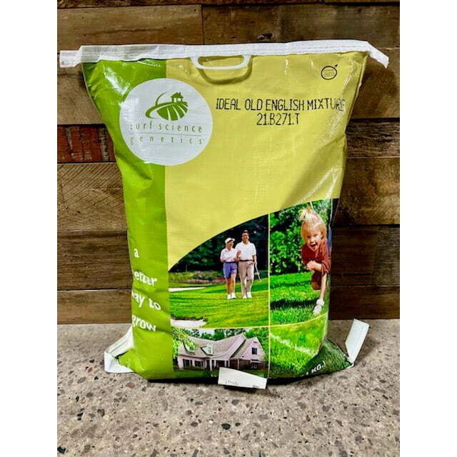 english garden seed mix English Lawn Grass Seed Mix