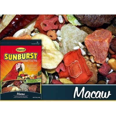 Higgins sunburst parrot food 25 lbs best sale