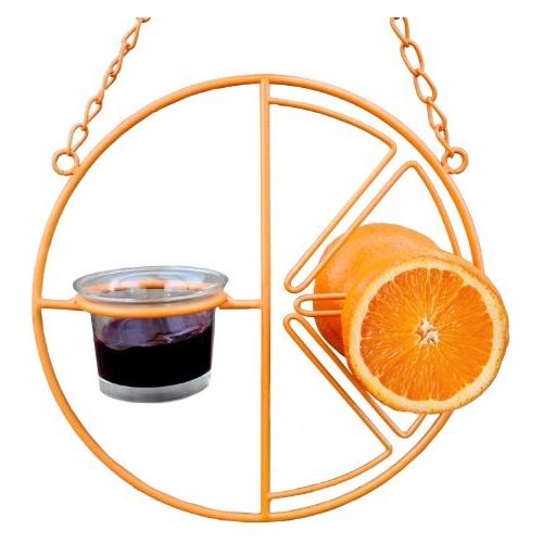 Vibrant Clementine Oriole Feeder - Premium Orange Bird Feeder for Attracting Orioles to Your Garden