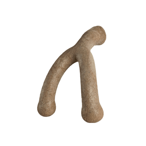 Bonetics 5.5" Wishbone Chew Dog Toy