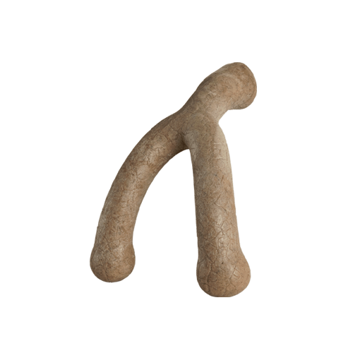 Bonetics 5.5" Wishbone Chew Dog Toy