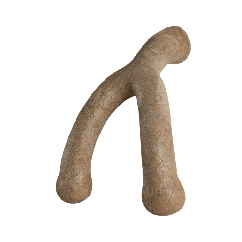 Bonetics 7.5" Wishbone Dog Chew Toy