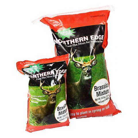 food plot seed for fall planting Ideal Northern Edge Brassica Food Plot Seed Mix
