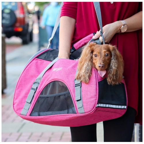 Bergan Comfort Carrier Black/Gray - Soft-Sided Pet Travel Bag for Cats and Small Dogs - Airline Approved