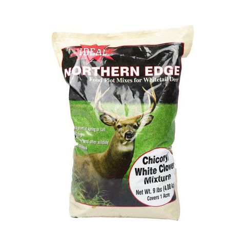 Chicory-White Clover Food Plot Seed