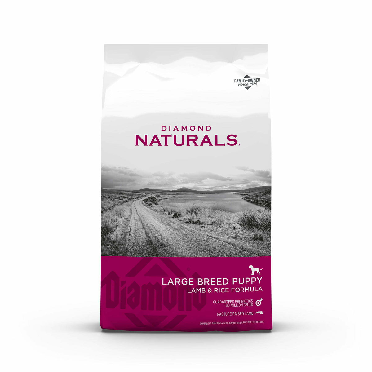 Diamond Naturals Large Breed Puppy Formula Dry Dog Food