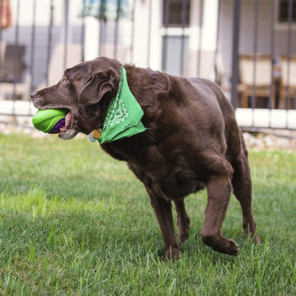 Outer Armor Large Football Purple/Lime Dog Toy