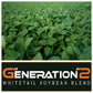 Real World Soybeans - 50.0 lbs - High Quality Food Source for Deer