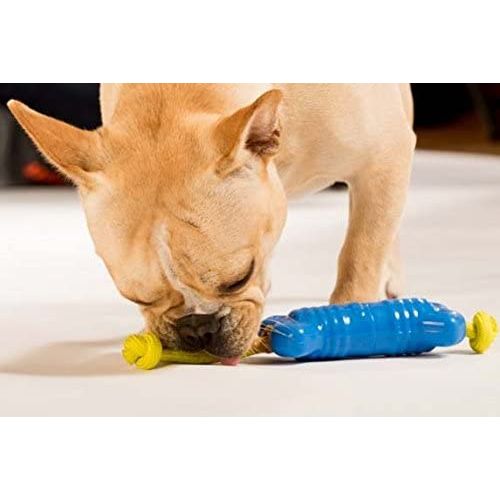 HERO Action Happy Bone Dog Toy