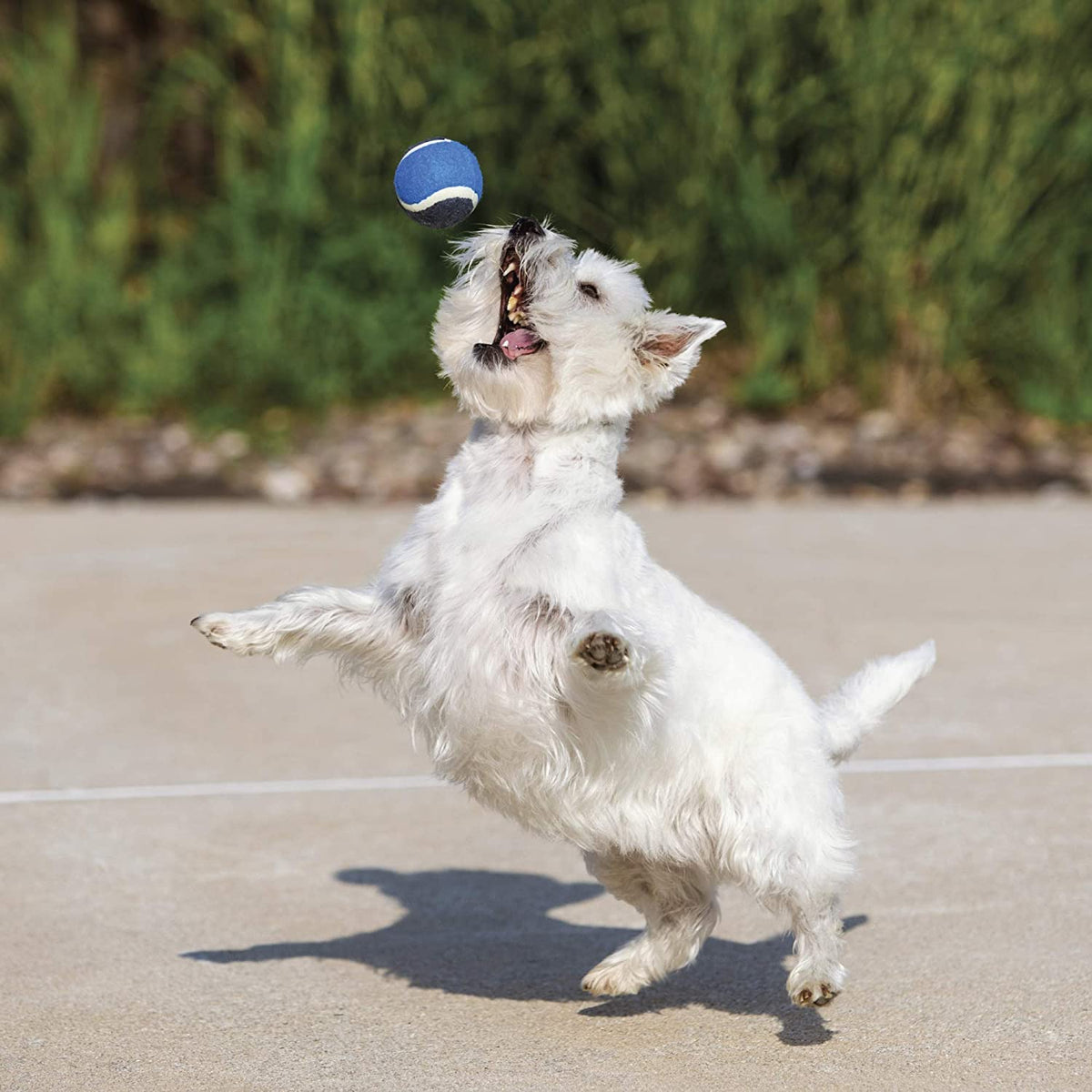 Hero Action Tennis Ball 3.5in: Durable Rubber Fetch Toy for Energetic Dogs