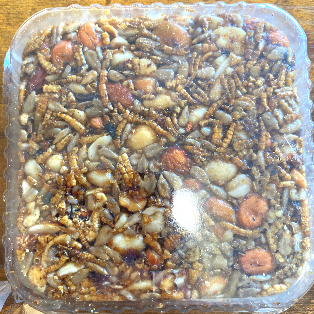 7.5oz Le Petit Mealworm Banquet with Fruit & Nuts Seed Cake