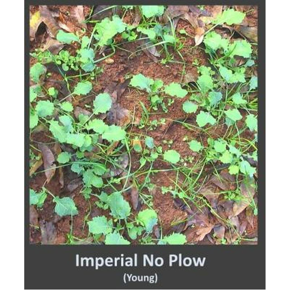 9 Lb Whitetail Institute Imperial No Plow