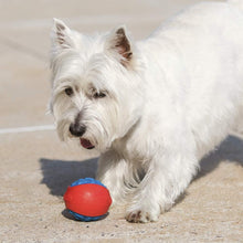 Outer Armor Small Ball Purple and Lime - Durable Dog Toy for Interactive Play