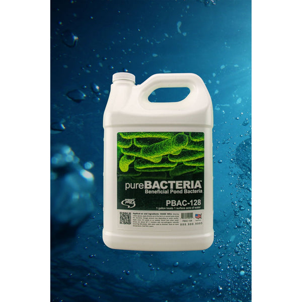 1 Gallon Organic Pond - Pure Bacteria