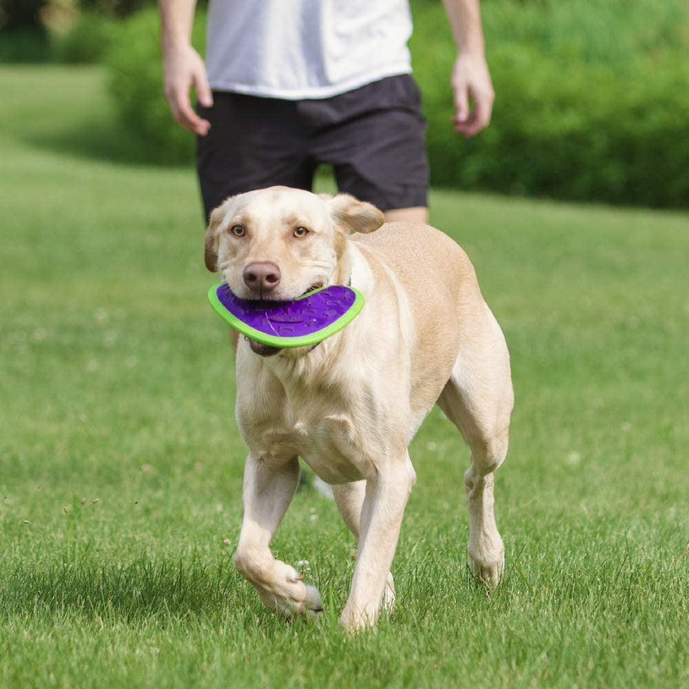 Outer Armor Large Propeller Red and Blue Dog Toy