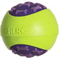Outer Armor Large Ball Purple/Lime - Durable Dog Toy for Large Breeds - Interactive Fetch Toy for Outdoor Play
