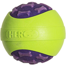Outer Armor Small Ball Purple and Lime - Durable Dog Toy for Interactive Play