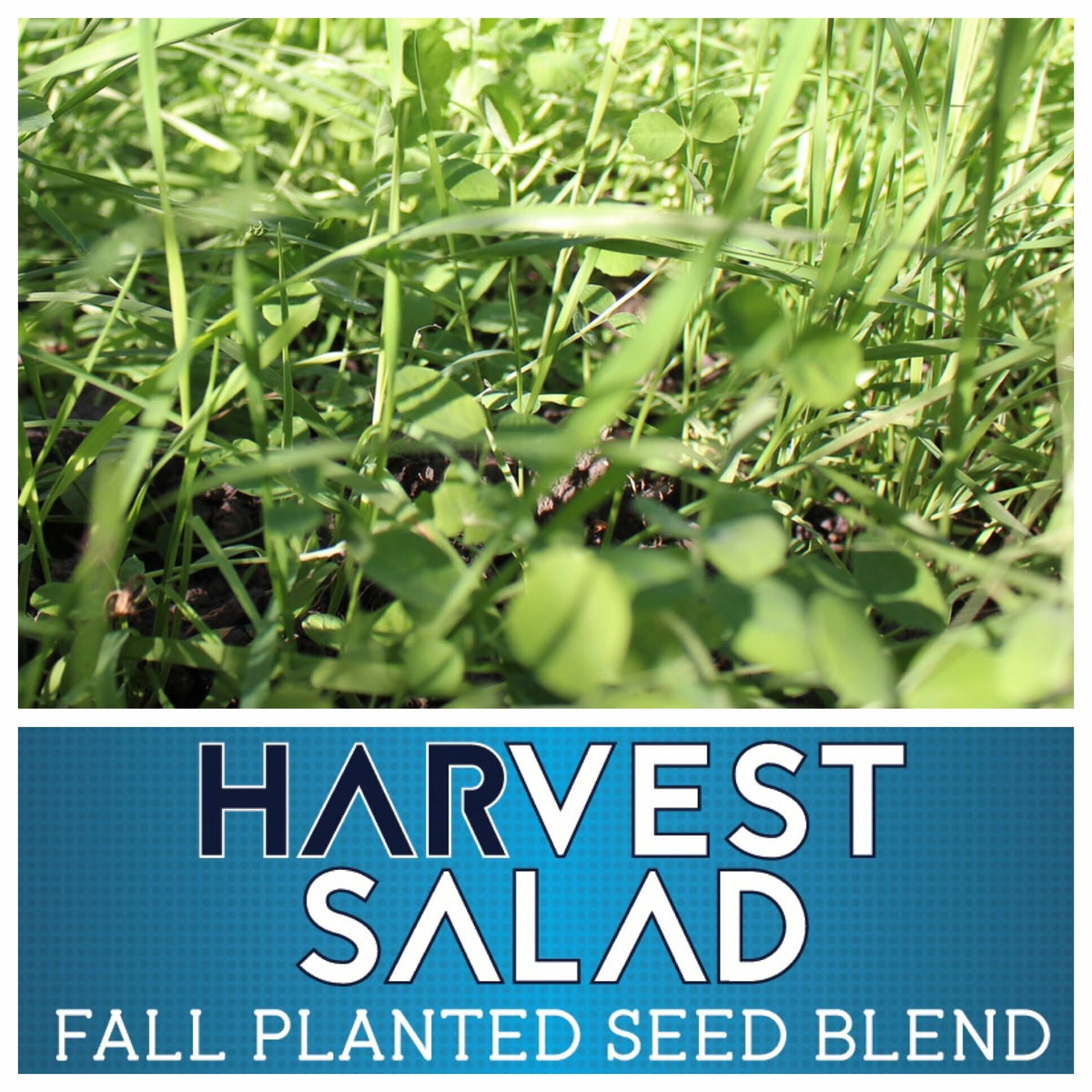 25lbs Real World Whitetail Harvest Salad