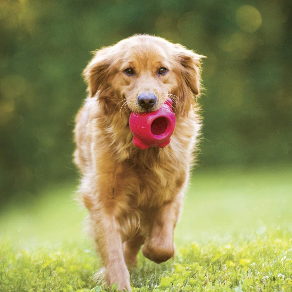 Hero Retriever Series Large Rubber Treat Ball