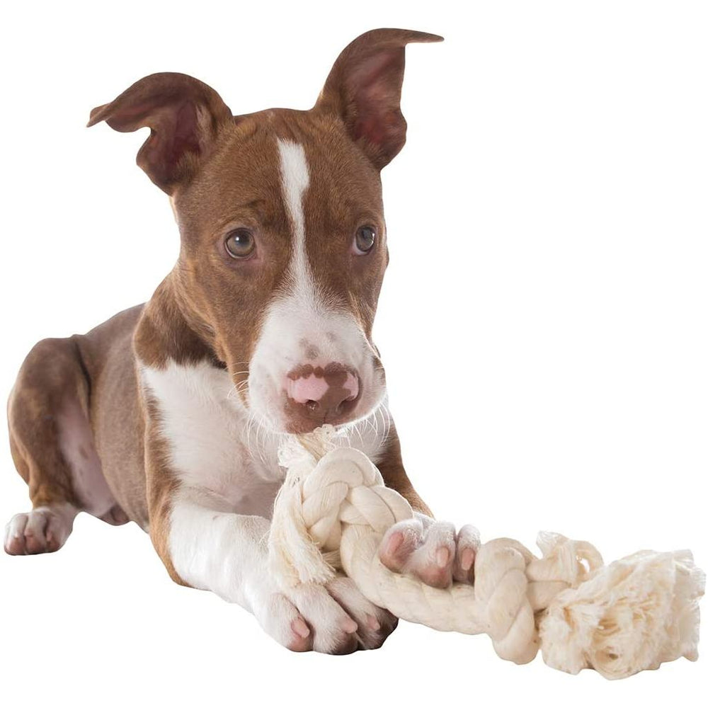 Mammoth Small 9in. White Rope Bone Dog Toy
