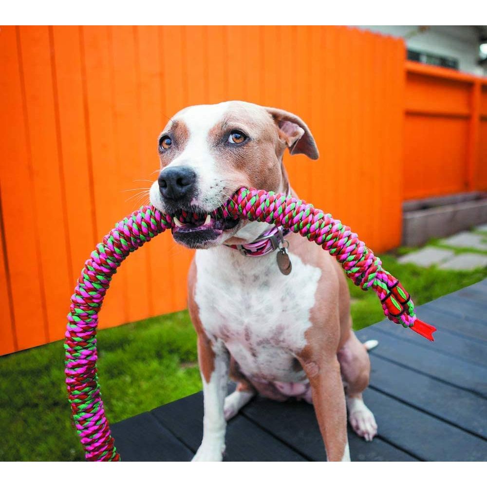 Mammoth Small 26" Snake Biter Dog Toy