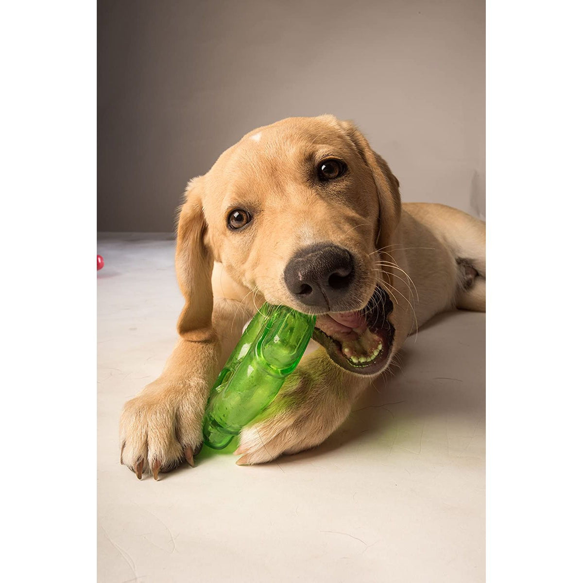 HERO Treat 'N Play Green Foraging Ring