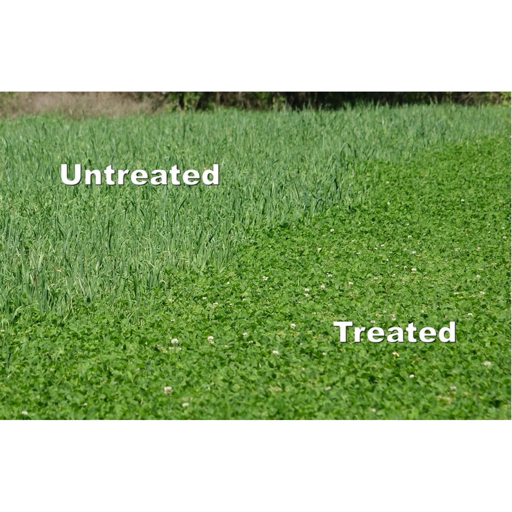 arrest herbicide Whitetail Institute Herbicide