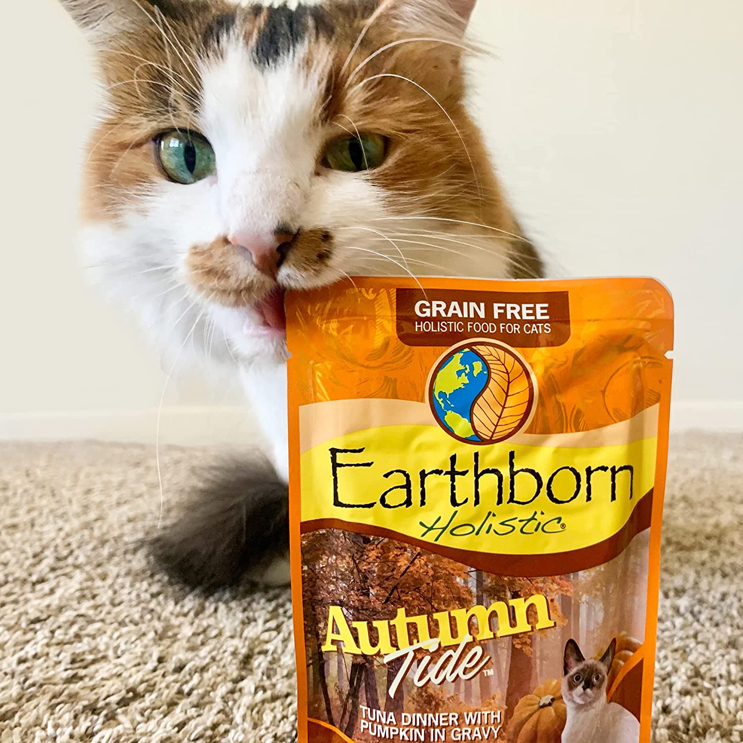 Earthborn holistic shop cat food pouches