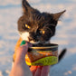 5.5oz Earthborn Chicken Jumble Canned Cat Food (Chicken Dinner With Liver In Gravy)