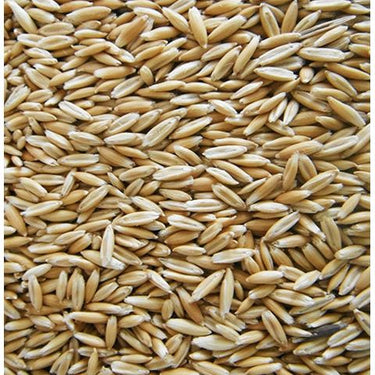 50 lbs. Steam Crimped Oats - Optimize Performance and Health for Your Horses