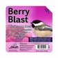 Berry Blast Suet 11.25 oz (12-Count Case)