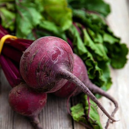 Detroit Dark Red Beet Garden Seeds