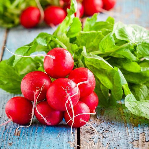 Early Scarlet Globe Radish Garden Seeds