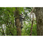 Hawk Helium Hammock Small Platform - For Safety & Stability While Hunting