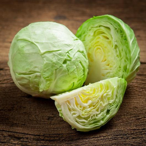 Late Flat Dutch Cabbage Garden Seeds