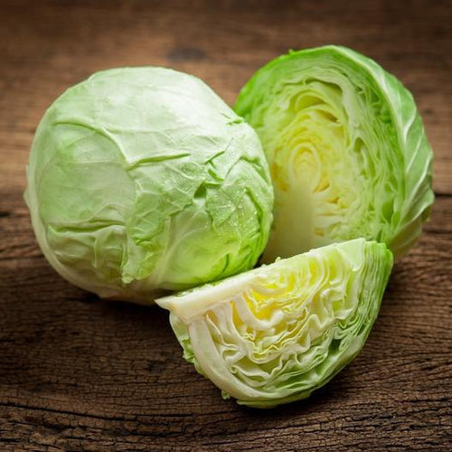 Late Flat Dutch Cabbage Garden Seeds